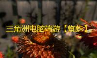 三角洲电脑端游【蜘蛛】辅助